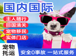丹东浪头空运地址国际宠物托运 【国